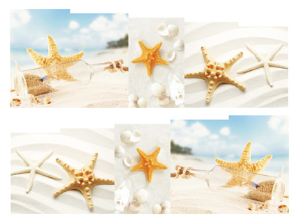 Sea Star