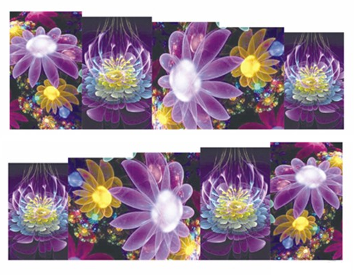 Colorful Multi-Style