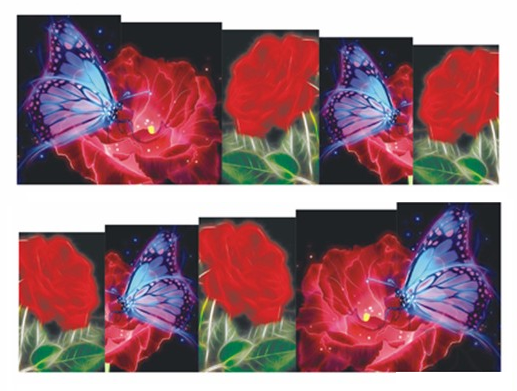 Colorful Multi-Style